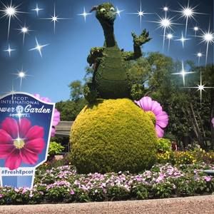 Meet your Posher, Cassandra